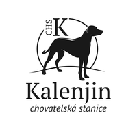 Kalenjin.cz